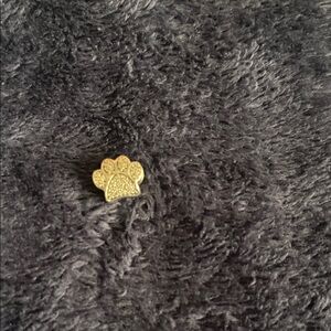 Gold Paw Print Pin